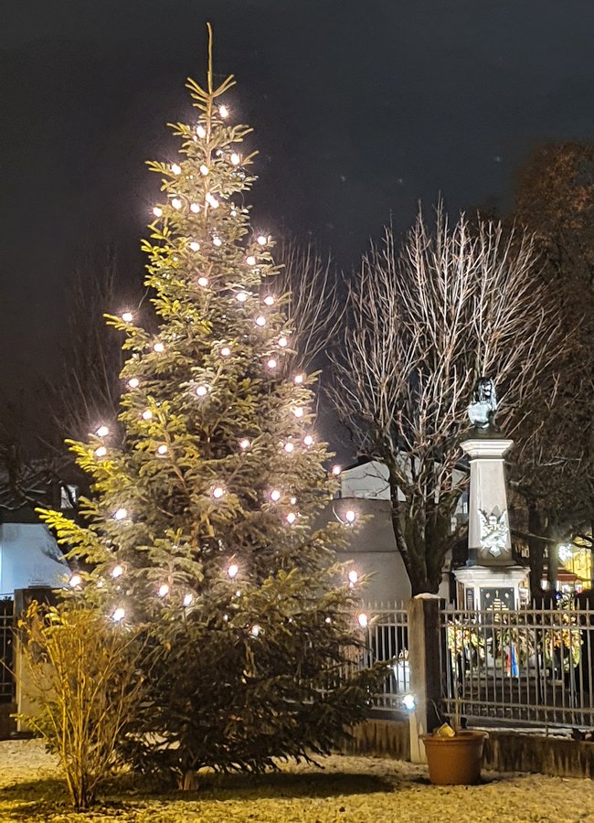 Bild: Christbaum vor der Pfarrvilla mit Kriegerdenkmal am Abend im Schnee